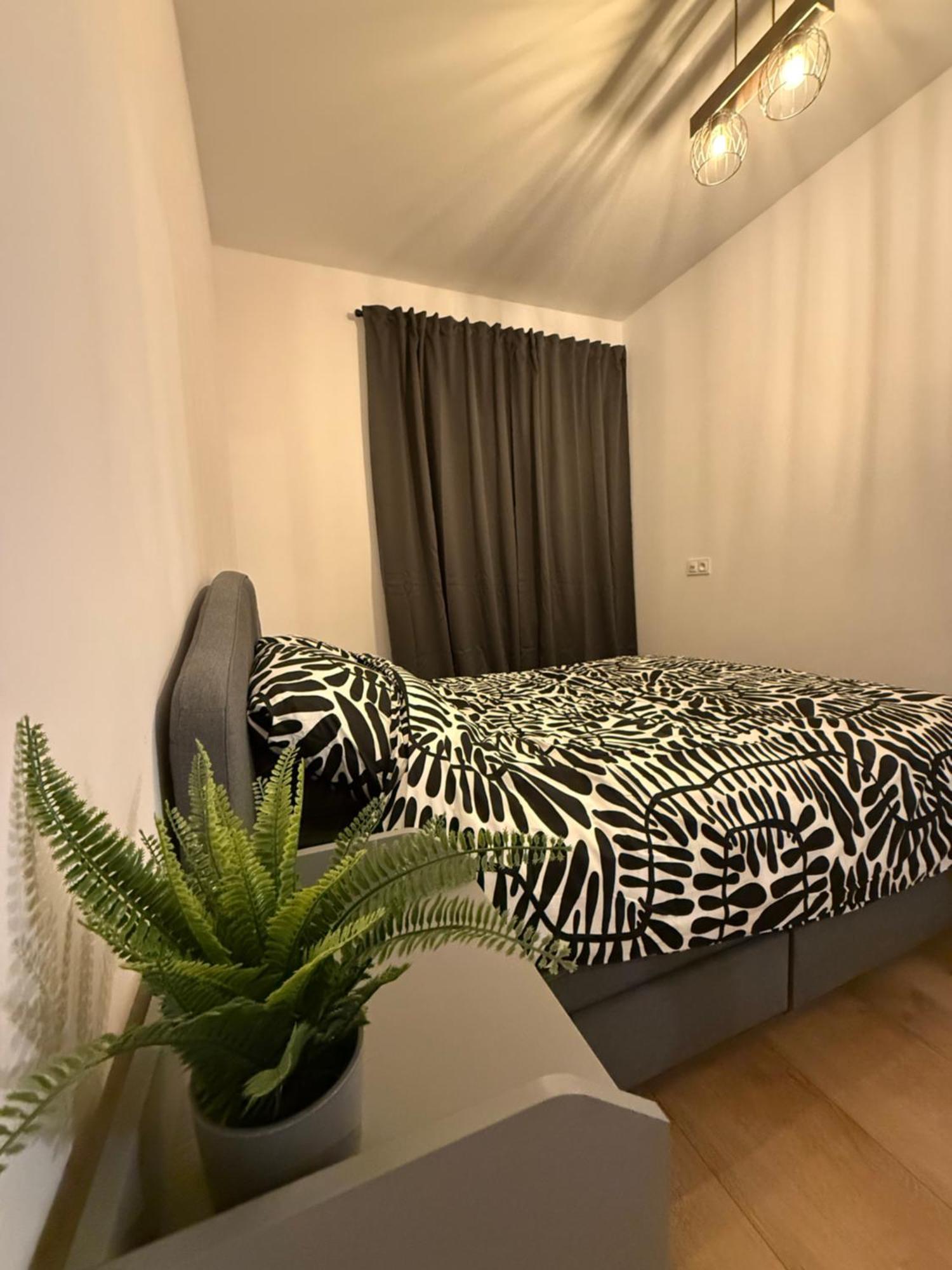Optimum Apartment *